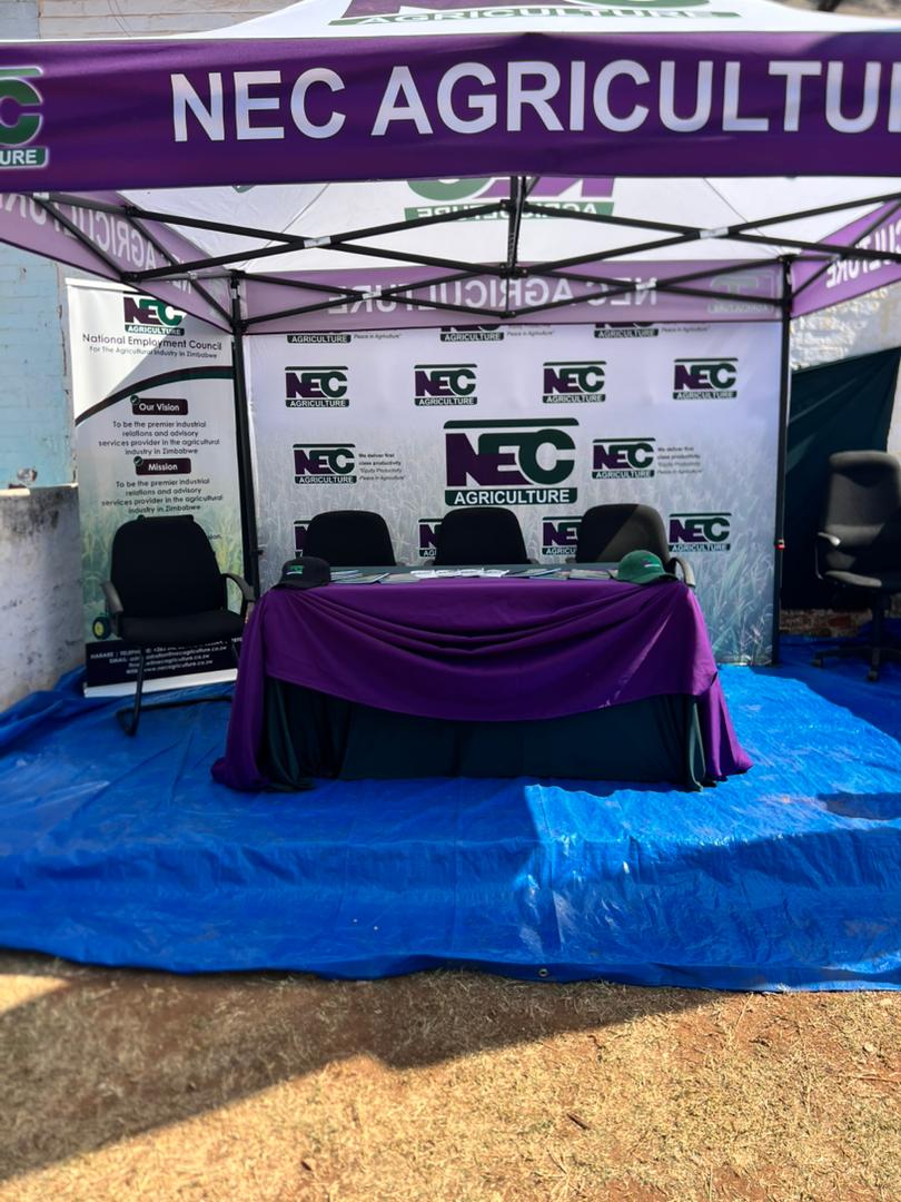 Chinhoyi Show