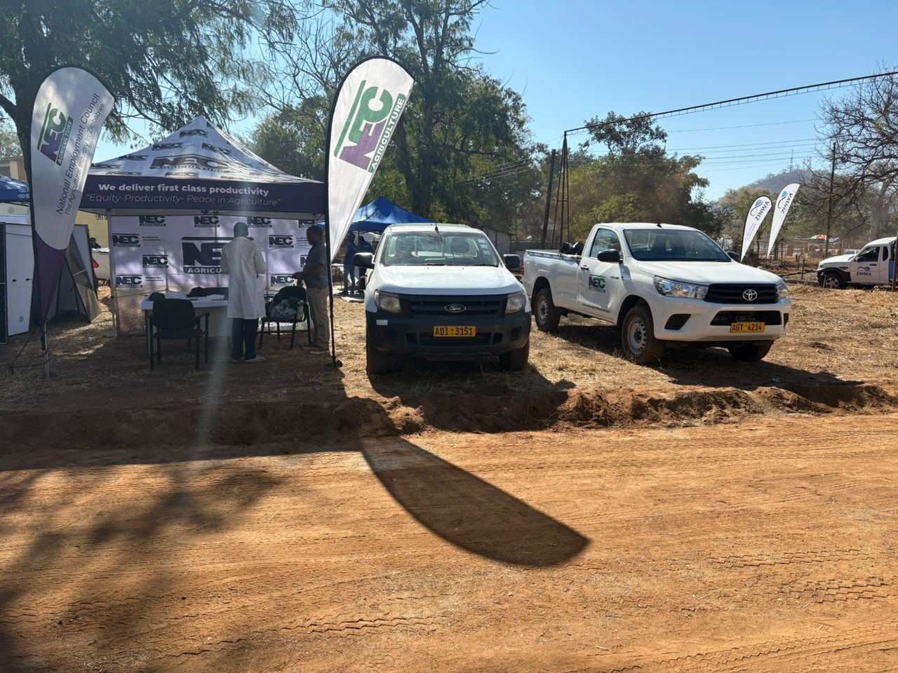Chiredzi Show